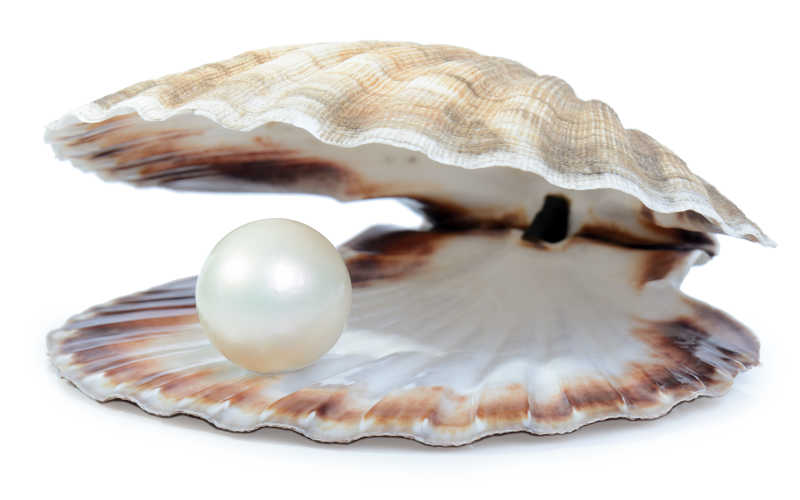 大贝壳里的大珍珠