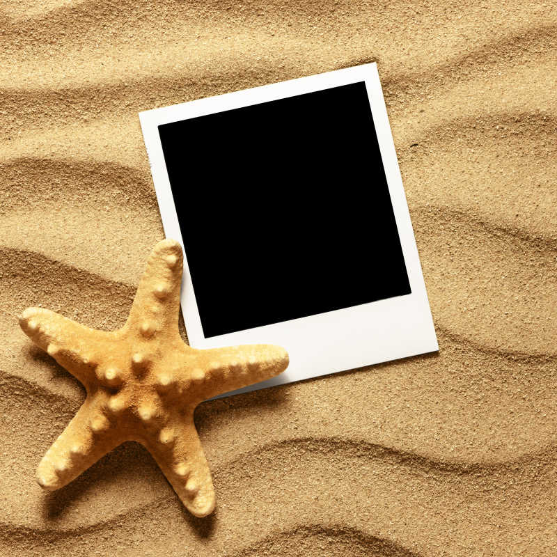 沙子上的海星和拍立得照片