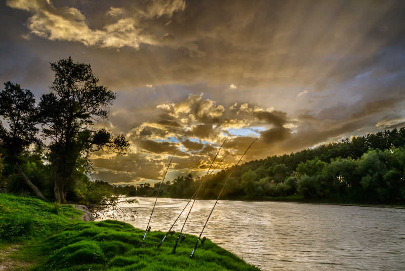 埃布罗河纳瓦雷河畔的风景