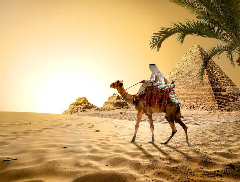 商人骑骆驼经过金字塔群
