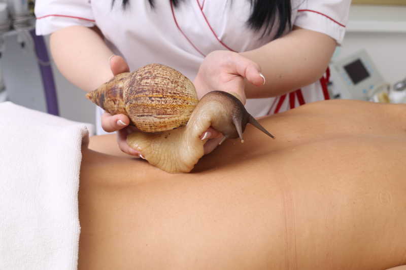 美容师拿起做皮肤清洁的蜗牛