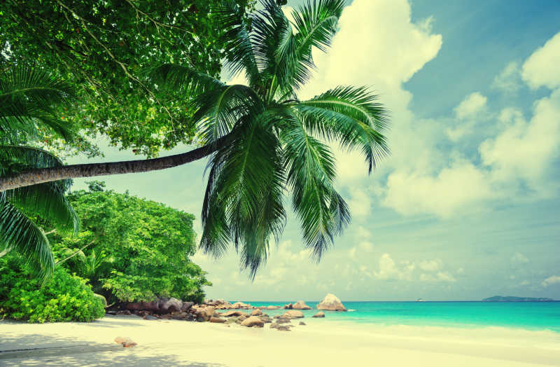 热带塞舌尔海滩风景