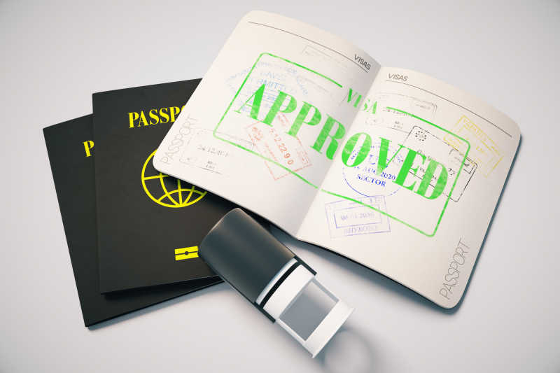 批准签证的黑色护照