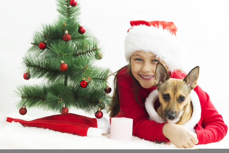 女孩和宠物狗狗过圣诞节