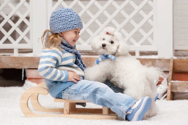 雪橇上和狗狗玩耍的小女孩