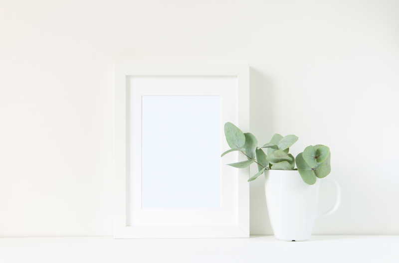 白色背景下的空白相框和绿植