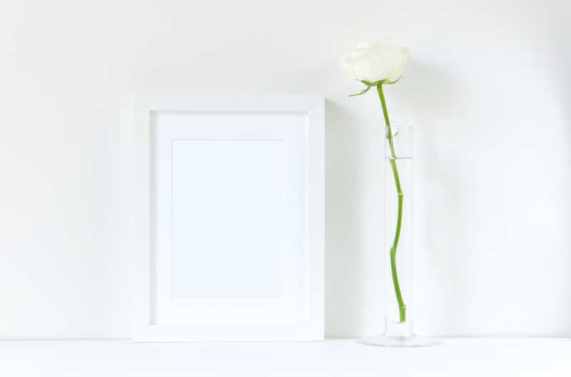 白色背景下的空白相框和白玫瑰