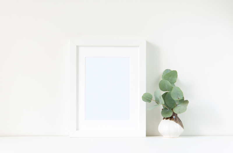 白色背景下的空白相框和绿色盆栽