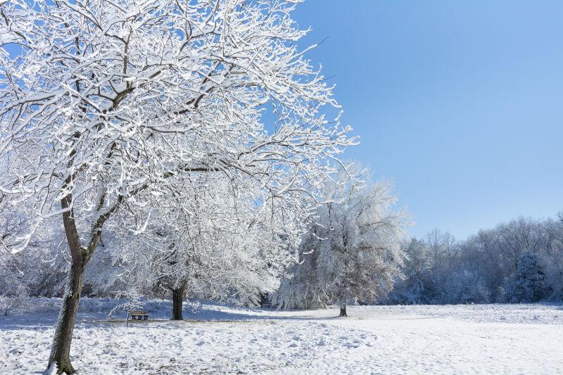 挂满雪花的书