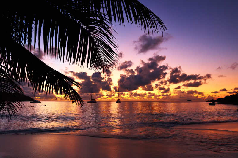美丽的日落在塞舌尔海滩