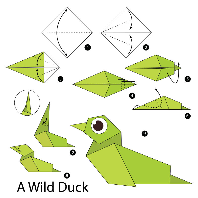 矢量折纸野生鸭子的步骤图解