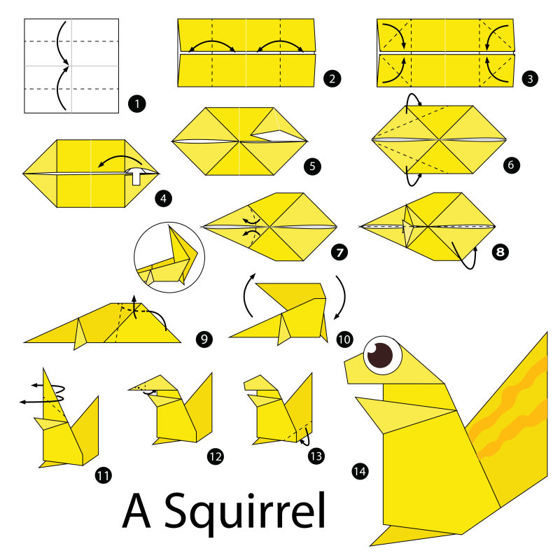 矢量折纸松鼠的步骤图解