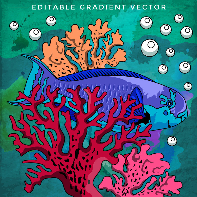 热带海底的生物矢量插画