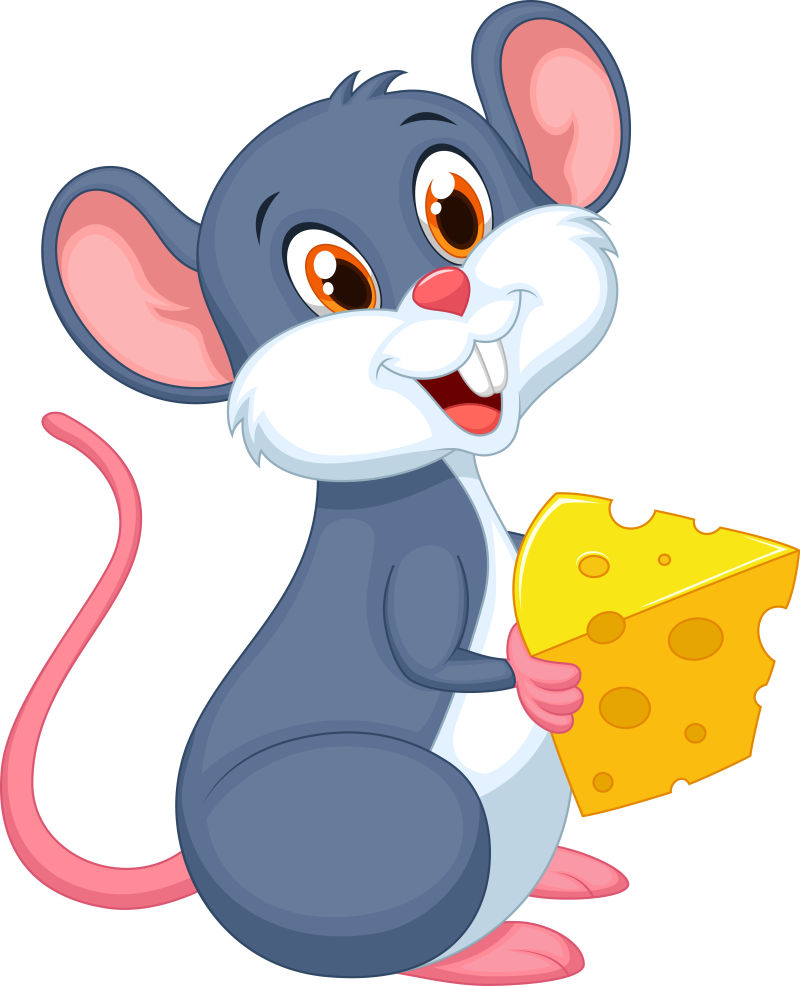 可爱的吃奶酪的矢量小灰鼠