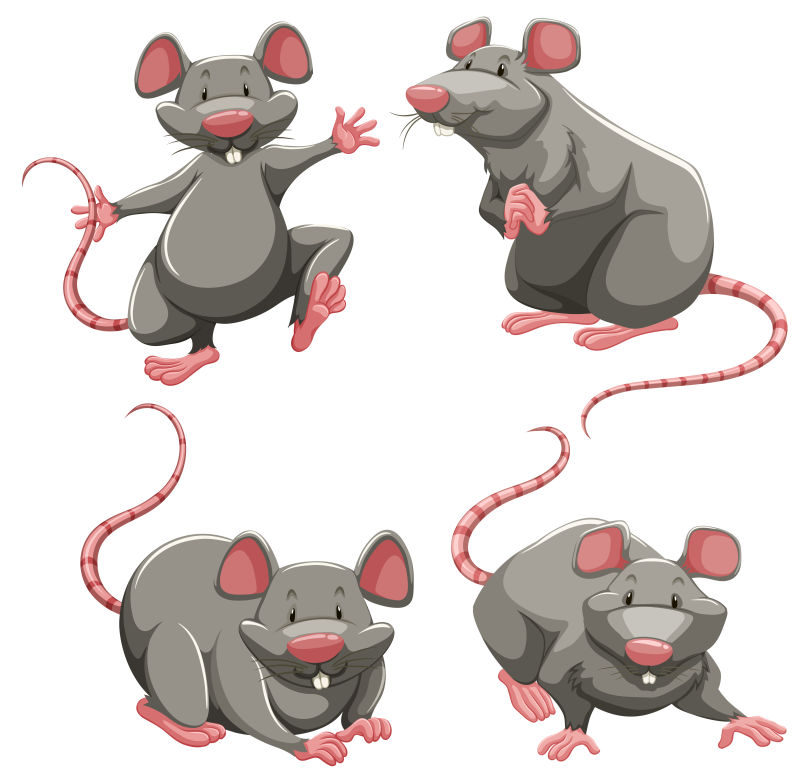 不同姿态的矢量卡通老鼠
