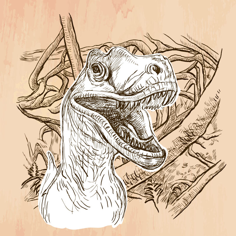 手绘风格的肉食恐龙插画