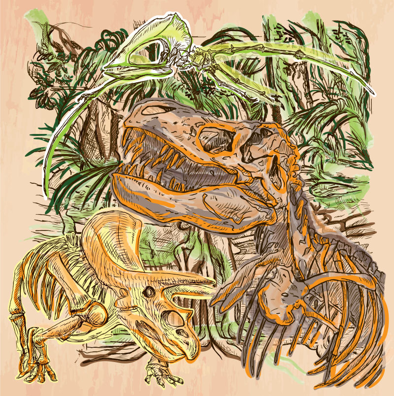 丛林里的恐龙矢量插画