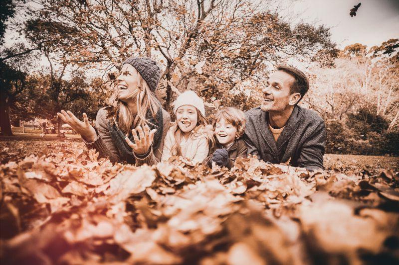 秋季枯树叶与家庭