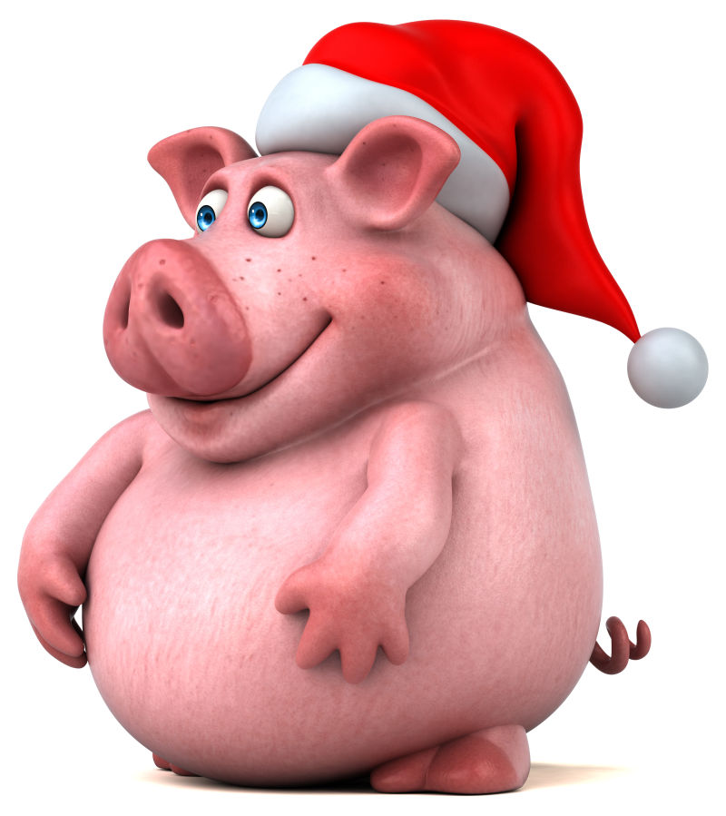 戴圣诞帽的猪