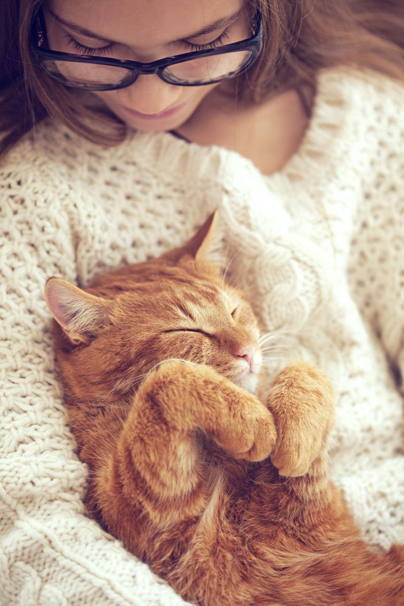 戴眼镜的小女孩怀里抱着睡觉的猫咪