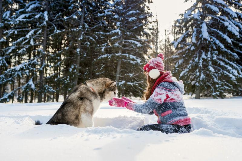 雪地里小女孩喂东西给小狗