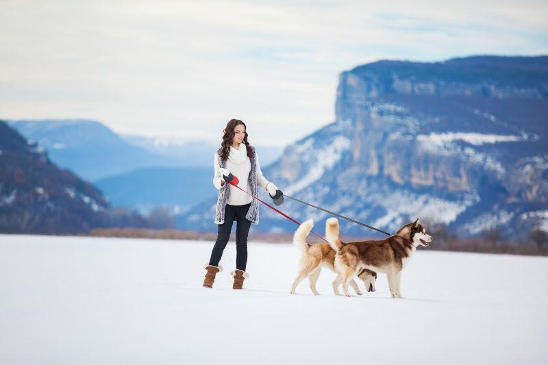 雪地里快乐的小女孩和西伯利亚哈士奇狗玩耍