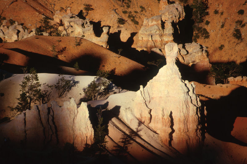 波斯托伊纳洞穴中的石笋和钟乳石