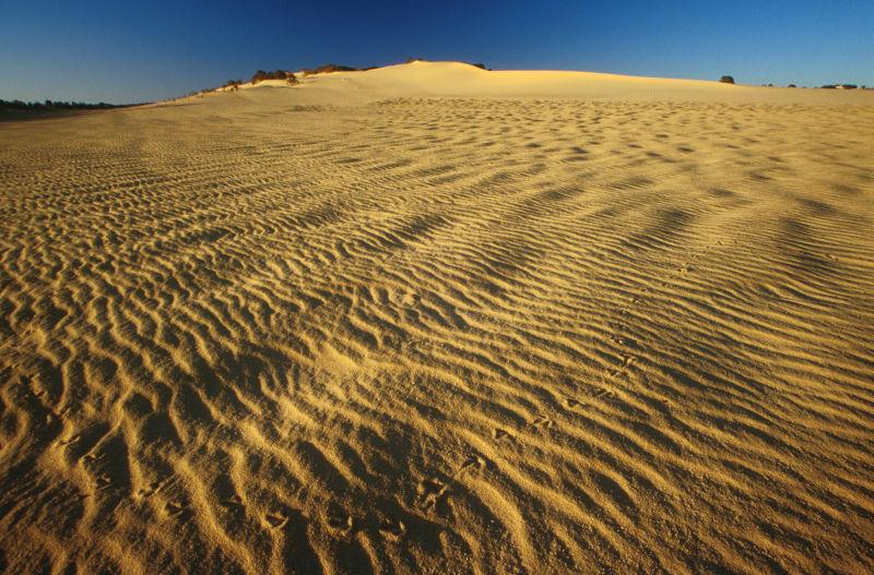 阿曼沙漠沙漠中的空季和室外沙丘