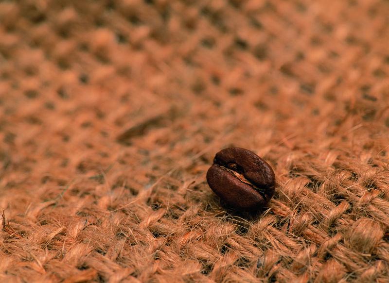 粗布麻袋上的一颗咖啡豆