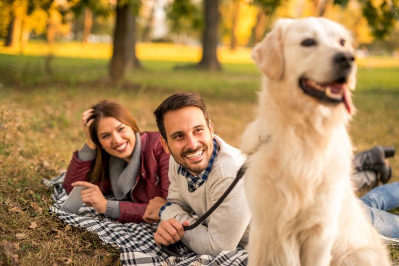 年轻的夫妇在公园里和他们的狗一起享受一天