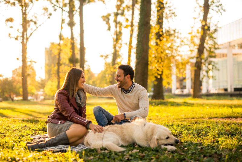快乐的夫妇在公园里和狗玩