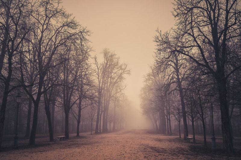 美丽的帕尔马雾气公园