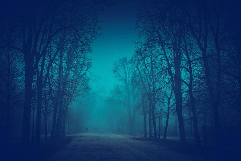 昏暗神秘的森林夜景