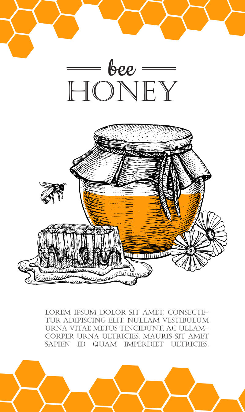手绘矢量蜜蜂画插图
