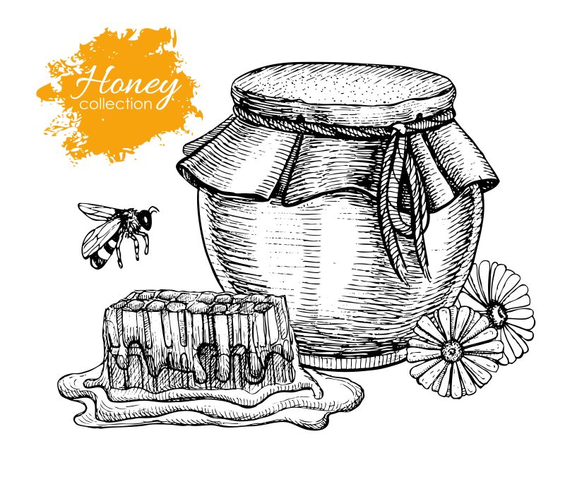 矢量蜂蜜创意手绘插图