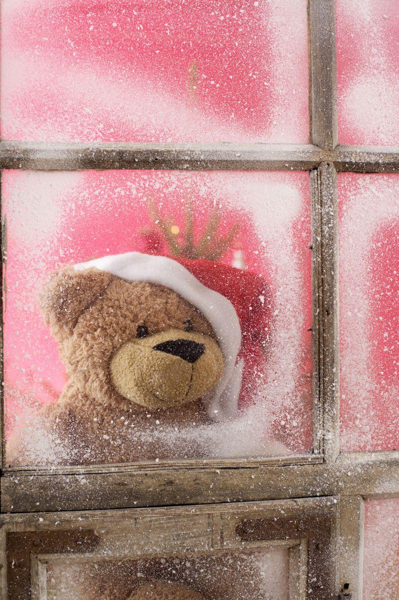 窗户后面的可爱的小熊带着红色圣诞帽