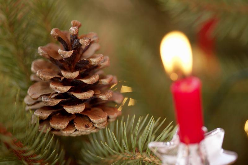 圣诞树上的野生松果和点燃的红色蜡烛