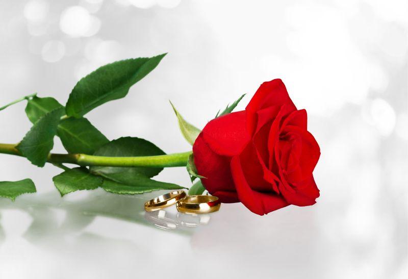 玫瑰与结婚戒指