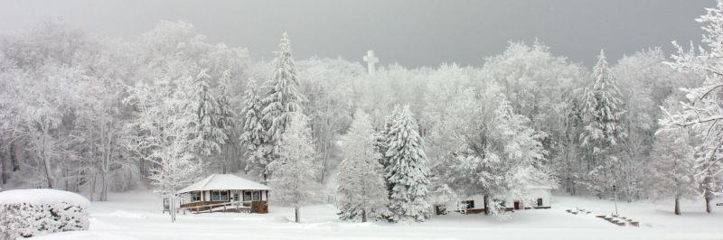 木屋下的冬季森林