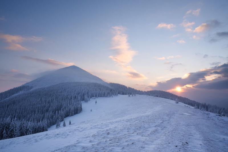 冬季森林雪景