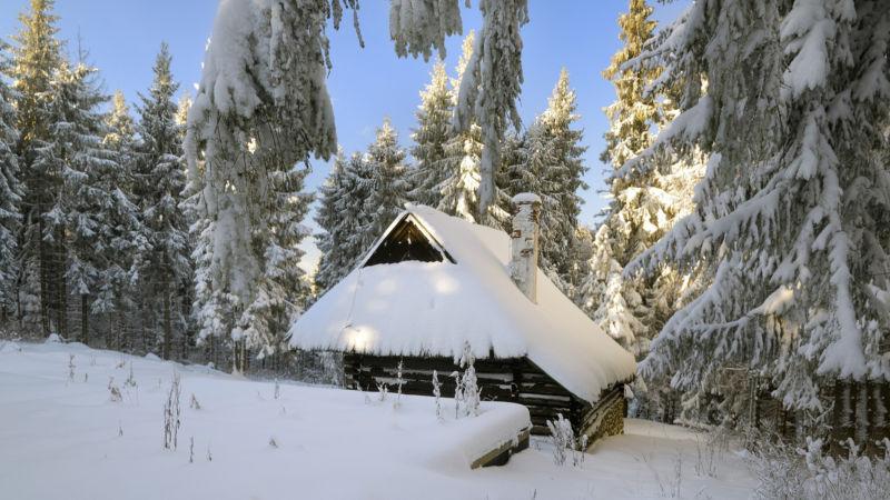 冬季森林里的房屋雪景