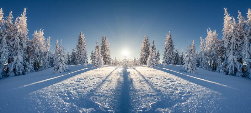 雪地森林日出