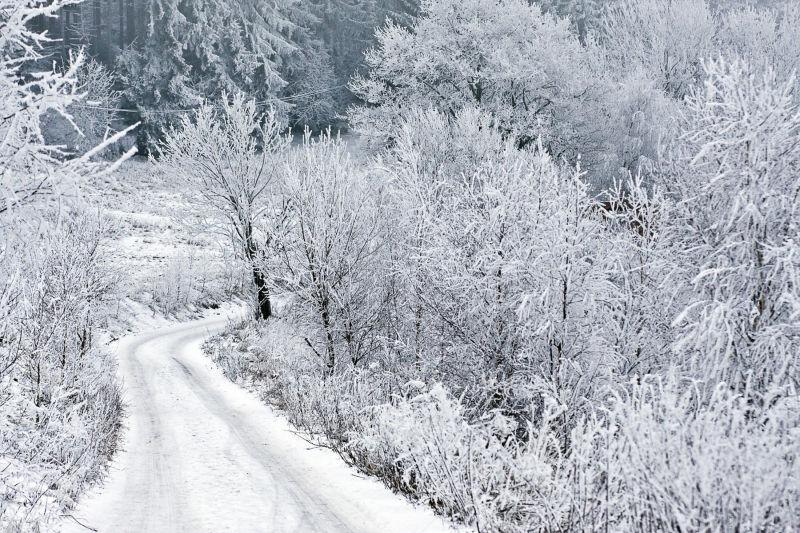 冰雪覆盖的森林小路