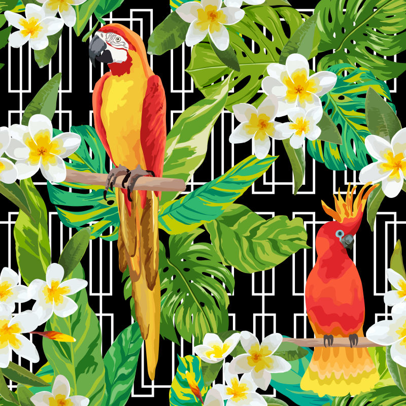 创意热带花卉和鸟类矢量背景