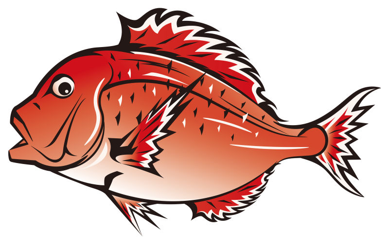 红色矢量鱼的插图