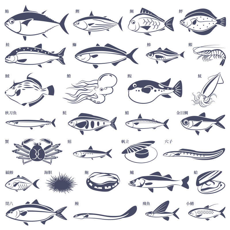 创意矢量卡通海洋动物插图