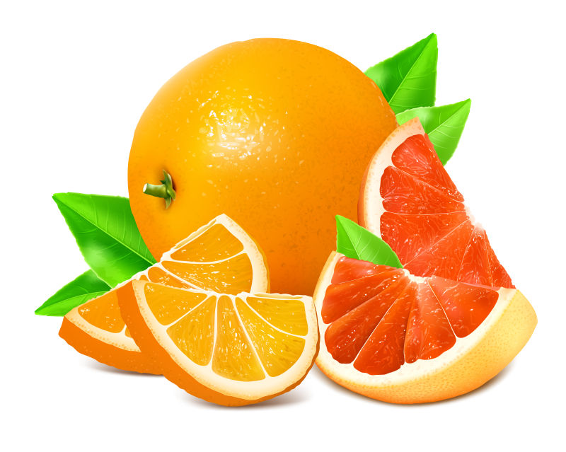 新鲜橘子和葡萄柚矢量插图