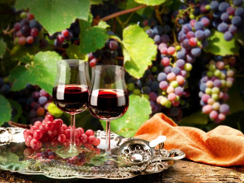 葡萄园里的新鲜葡萄和葡萄酒