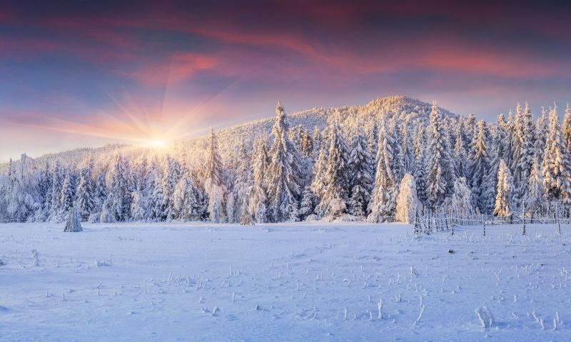 美丽的晚霞与森林雪景