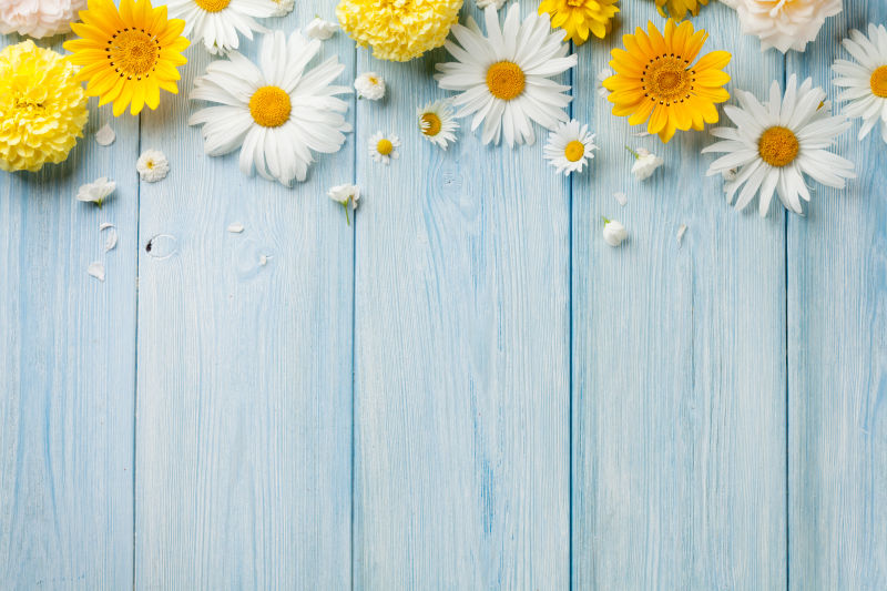 蓝色木板上的花朵